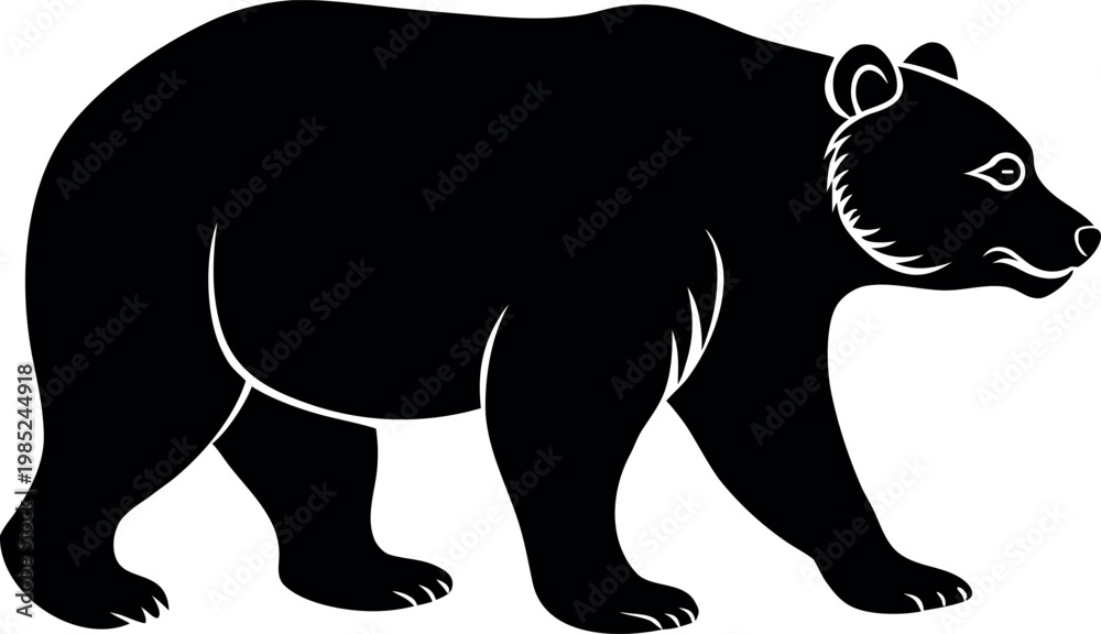 Obraz premium Black bear walking isolated on transparent background side view
