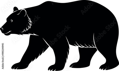 Black bear walking profile illustration on white background