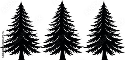 Three pine tree silhouettes on white background for graphic design
