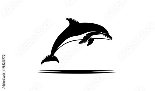 Dolphin jumping silhouette vector marine animal isolated on white background