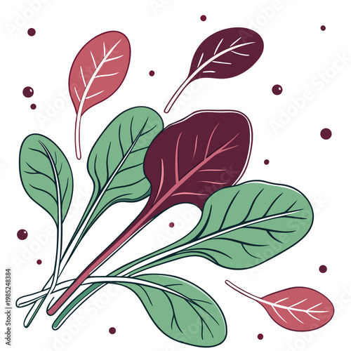 spinach vector