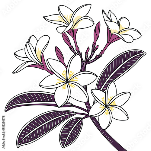plumeria with leaves