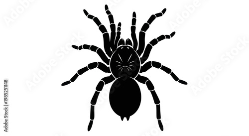 Black Tarantula Silhouette Icon Vector Art