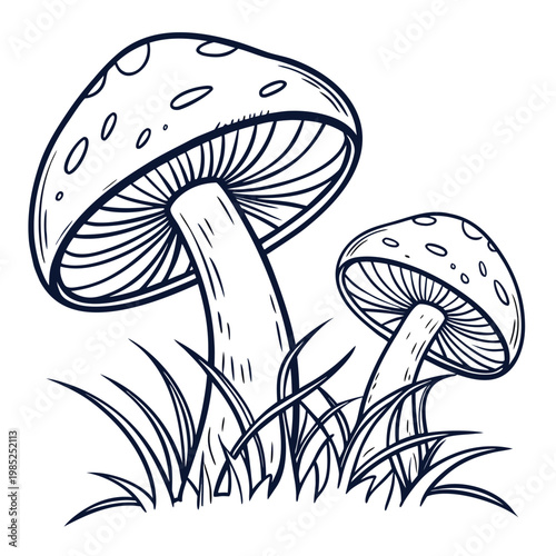 mushrooms vector