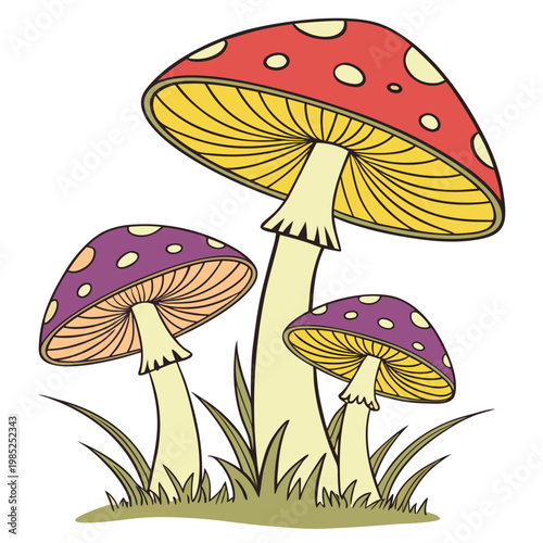 mushrooms colorful on white background