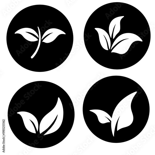 Set of four botanical leaf icons in black and white circles