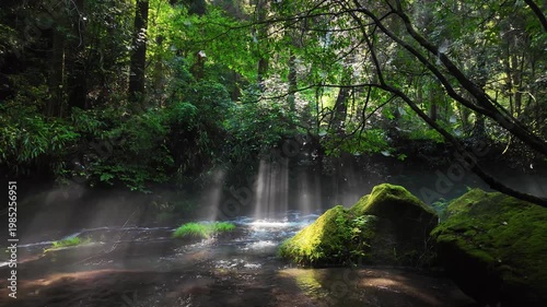 朝の立岩水源　阿蘇