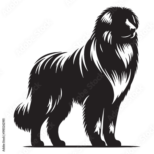 Pamir Shepherd Dog Powerful Guardian of Central Asian Mountains Loyal Protective Intelligent Rare Breed Strong Working Dog Family Protector Brave Independent Weather-Resistant Herding Companion.