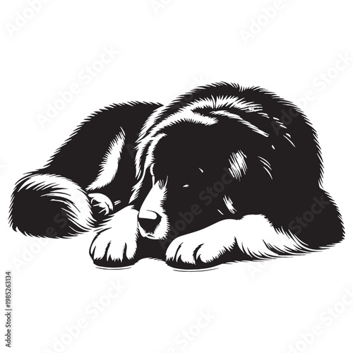 Pamir Shepherd Dog Powerful Guardian of Central Asian Mountains Loyal Protective Intelligent Rare Breed Strong Working Dog Family Protector Brave Independent Weather-Resistant Herding Companion.