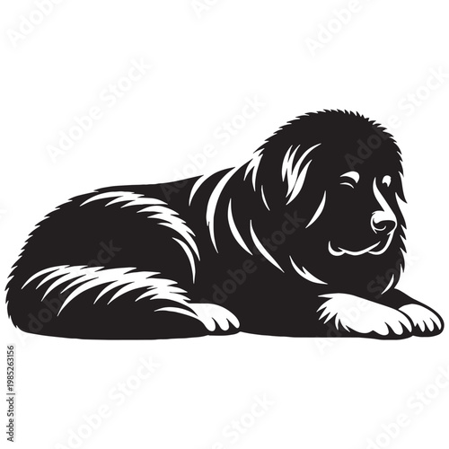 Pamir Shepherd Dog Powerful Guardian of Central Asian Mountains Loyal Protective Intelligent Rare Breed Strong Working Dog Family Protector Brave Independent Weather-Resistant Herding Companion.