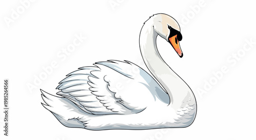 Graceful white swan illustration with an elegant curved neck and orange beak, a serene waterfowl portrait