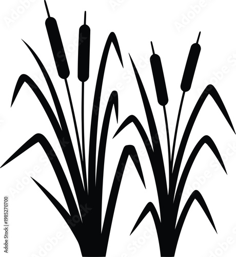 Black silhouette of cattails bulrushes and marsh reeds isolated on white background for nature graphics