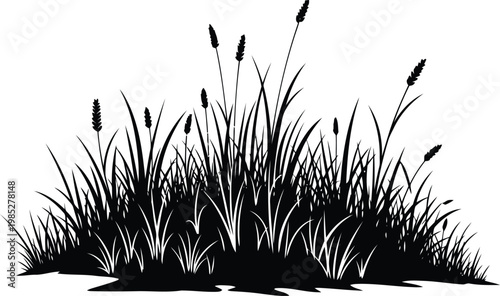 black silhouette of cattails and grass on white background for design and decoration