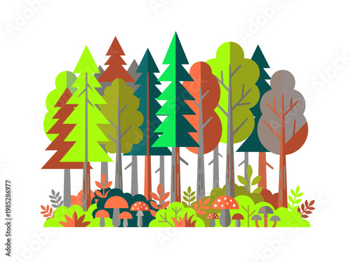 Colorful mixed forest with various trees and mushrooms illustration  