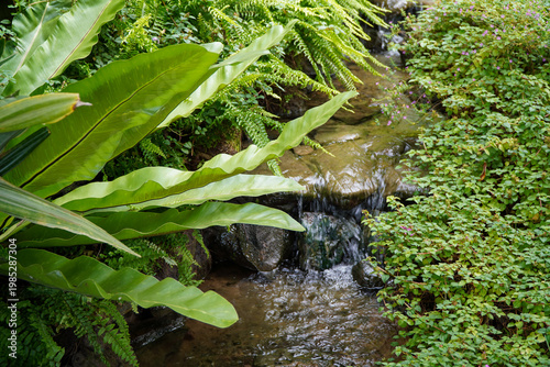 Canvas Print Tropical moss and fern garden with unique waterfalls and humid loving plants and