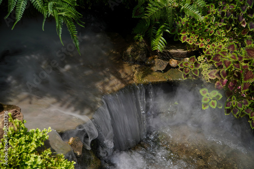 Canvas Print Tropical moss and fern garden with unique waterfalls and humid loving plants and