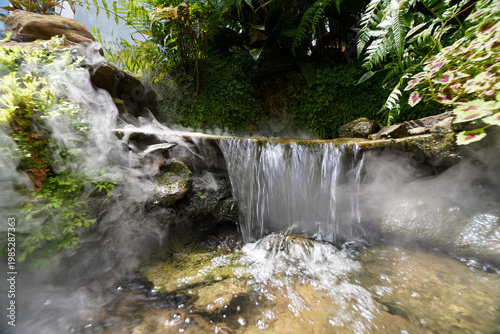 Konstfotografi Tropical moss and fern garden with unique waterfalls and humid loving plants and