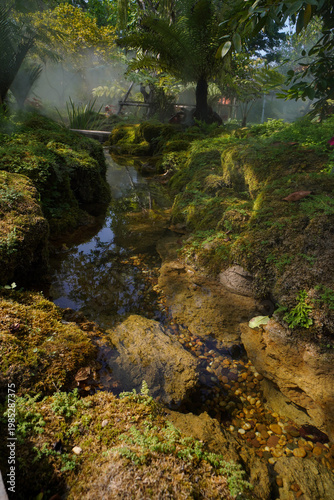 Fotografía Tropical moss and fern garden with unique waterfalls and humid loving plants and