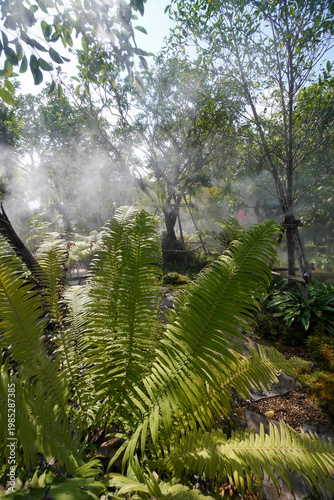 Cuadro en lienzo Tropical moss and fern garden with unique waterfalls and humid loving plants and