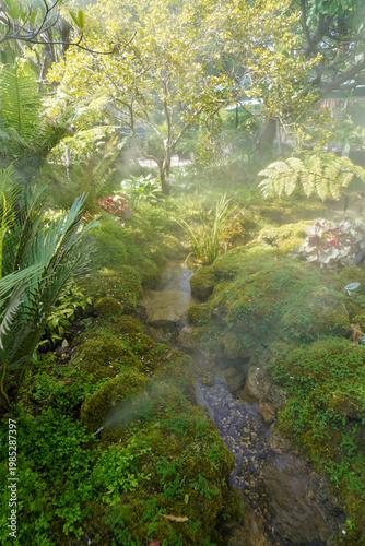 Foto Tropical moss and fern garden with unique waterfalls and humid loving plants and
