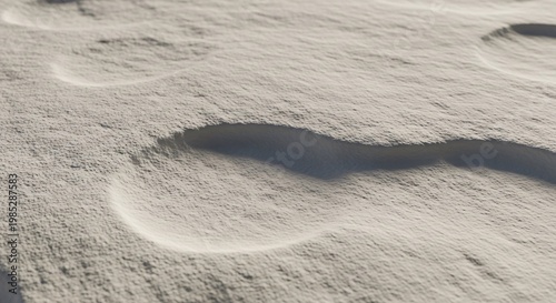 Detailed Close up of Textured Snow Surface with Intricate Wind Patterns