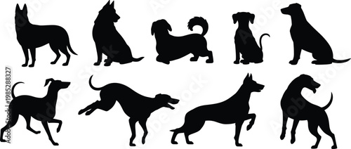 фотографія Eight black dog silhouettes in various poses on white