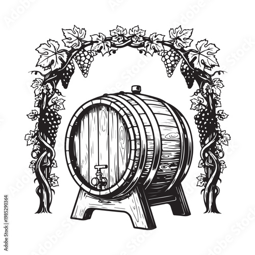 Black and white illustration of a wine barrel with grapevine isolated on white background