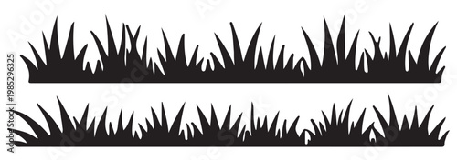 Wild reed silhouette collection, nature wetland plant vector set, marsh grass meadow graphics, riverbank cattail foliage icons, isolated black botanical flora