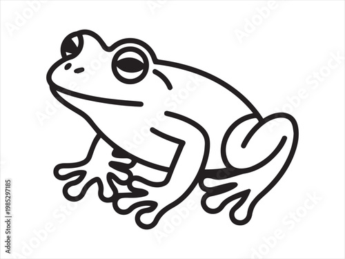 Photography Minimalist frog line art vector, Tree Frog