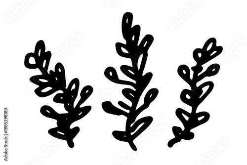 Hand drawn sea coral and seaweed doodle Tropical underwater flora, aquarium plants, ocean plant, algae, coral reef, leaves, branches