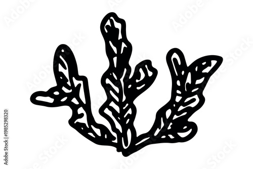Hand drawn sea coral and seaweed doodle Tropical underwater flora, aquarium plants, ocean plant, algae, coral reef, leaves, branches