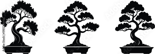 A Minimalist Black and White Illustration of Three Distinct Bonsai Trees in Pots