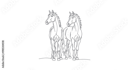 Two horses standing side by side.