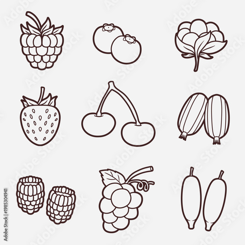 set of berries with outline style good for icon, symbol, element design, coloring book, etc