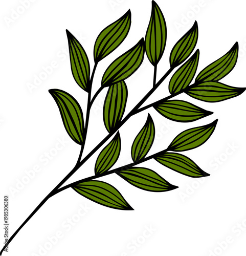 Hand Drawn Green Leaf Branch Illustration