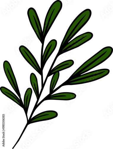 Hand Drawn Green Leaf Branch Illustration