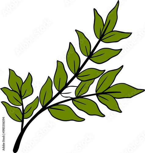 Hand Drawn Green Leaf Branch Illustration