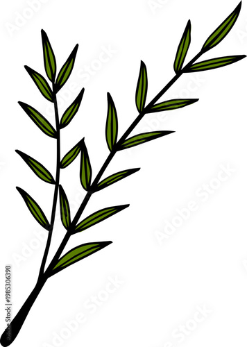 Hand Drawn Green Leaf Branch Illustration
