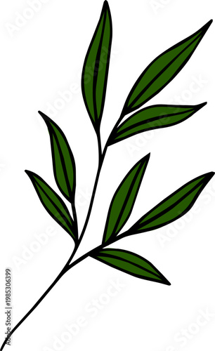 Hand Drawn Green Leaf Branch Illustration