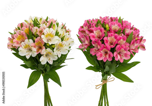 Two vibrant alstroemeria bouquets one white pink and one deep pink tied with twine isolated on transparent background