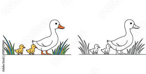  Cute Mother Duck and Ducklings Walking Through Grass Illustration, Colored and Black and White Line Art Coloring Page for Kids Education, Vector Bird Family Nature Scene