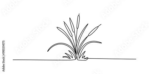 A simple continuous line drawing illustration of a cluster of cattail plants in a minimal style Vector, illustration
