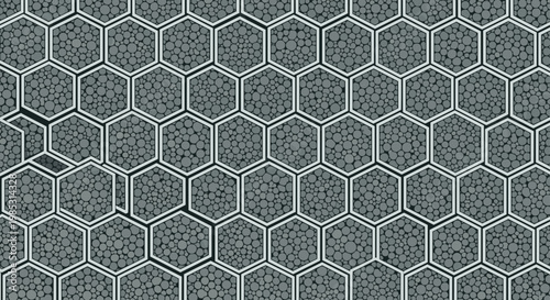 Complex geometric pattern consisting of gray hexagonal cells filled with numerous small circles of various sizes.
