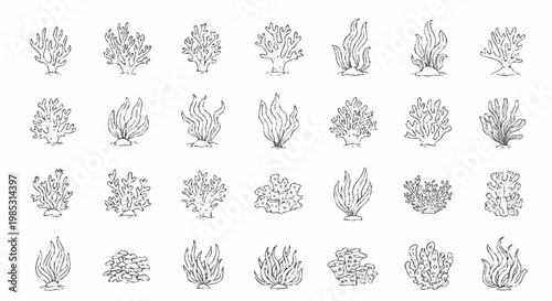 Collection of Hand Drawn Coral Reef Illustrations.
