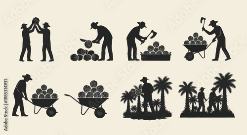 Silhouettes of people working together harvesting coconuts and loading them into wheelbarrows.