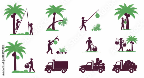 Coconut harvesting and transportation illustrations.