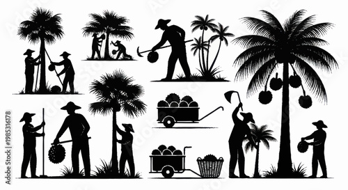 Silhouettes of farmers harvesting coconuts under palm trees.