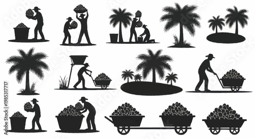 Coconut harvesting and processing silhouettes set.
