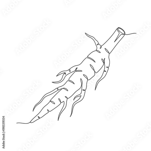 Minimalist Continuous Line Art of Ashwagandha Root for Adaptogenic Wellness Design Symbolizing Balance