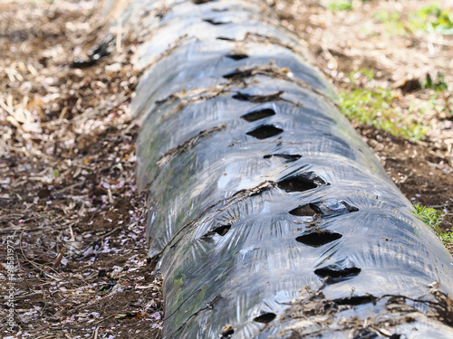 穴のあいた畑のビニールシート